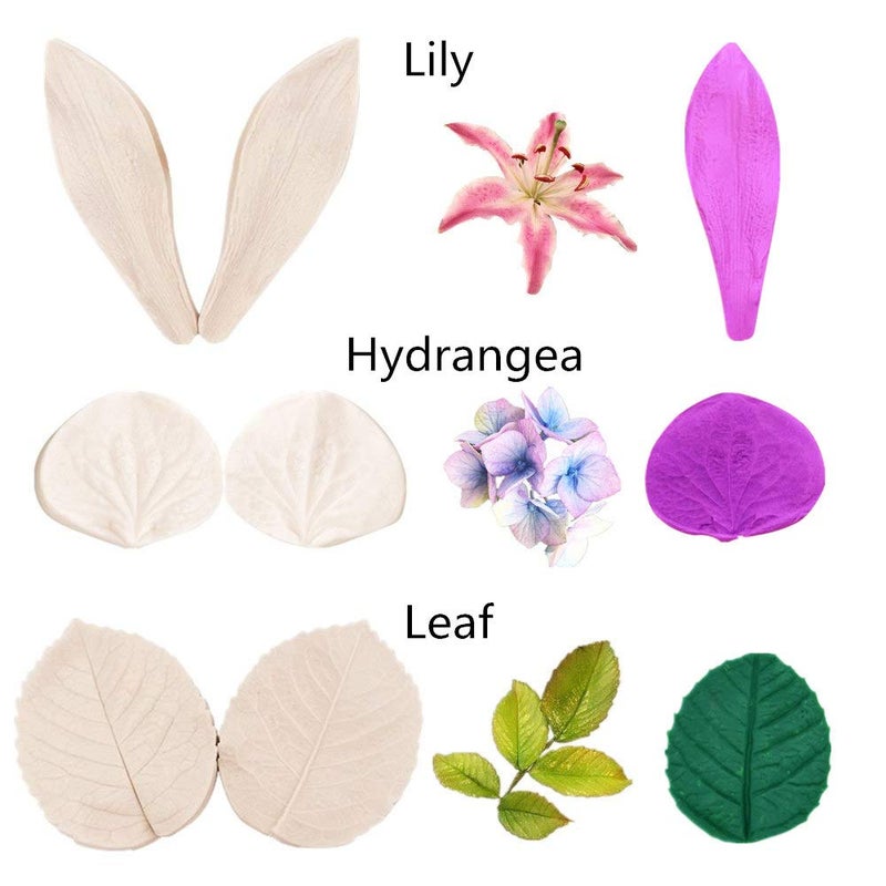 Colorkitchenware 12set Gumpaste Flower Silicone Veining Mold-Fondant Veining Mold,Gum Paste Flower Tools,Sugar Paste Flower Cake Decorating Tool for Peony Rose Lily Daisy Hydrangea Wedding Flowers - Image 5